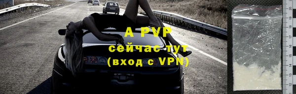 индика Богданович