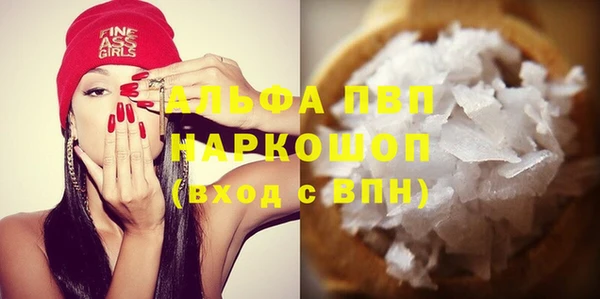 индика Богданович
