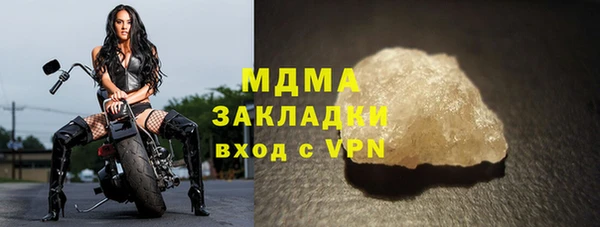 индика Богданович