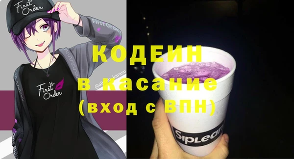 индика Богданович