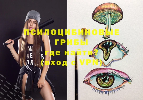 индика Богданович