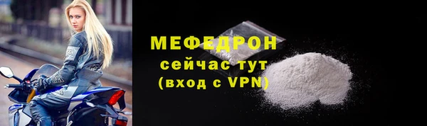 индика Богданович