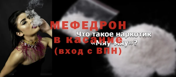 индика Богданович