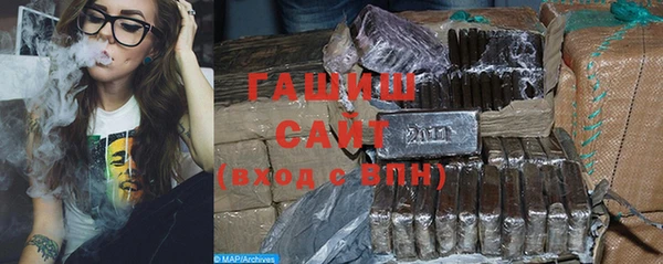 индика Богданович