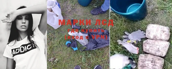 индика Богданович