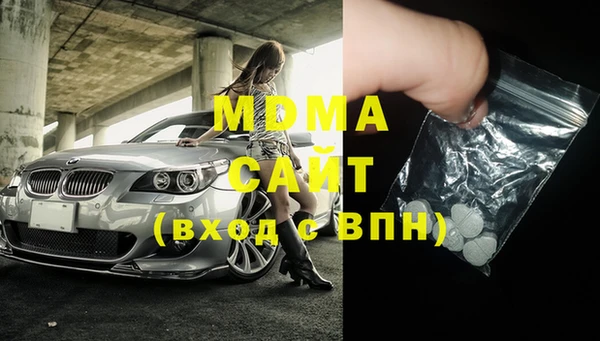 индика Богданович